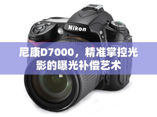 尼康D7000，精準掌控光影的曝光補償藝術(shù)