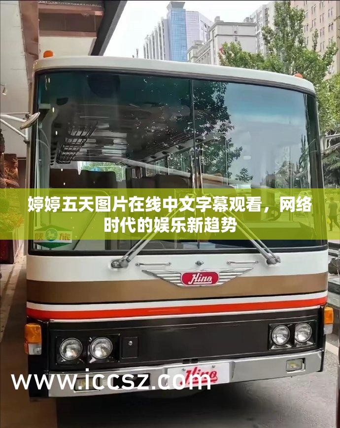 婷婷五天圖片在線中文字幕觀看，網(wǎng)絡(luò)時(shí)代的娛樂(lè)新趨勢(shì)