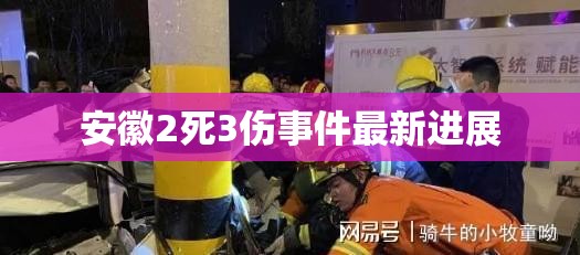 安徽2死3傷事件最新進(jìn)展