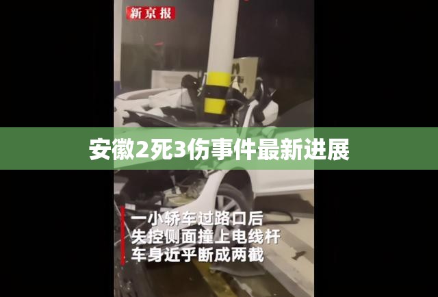 安徽2死3傷事件最新進(jìn)展