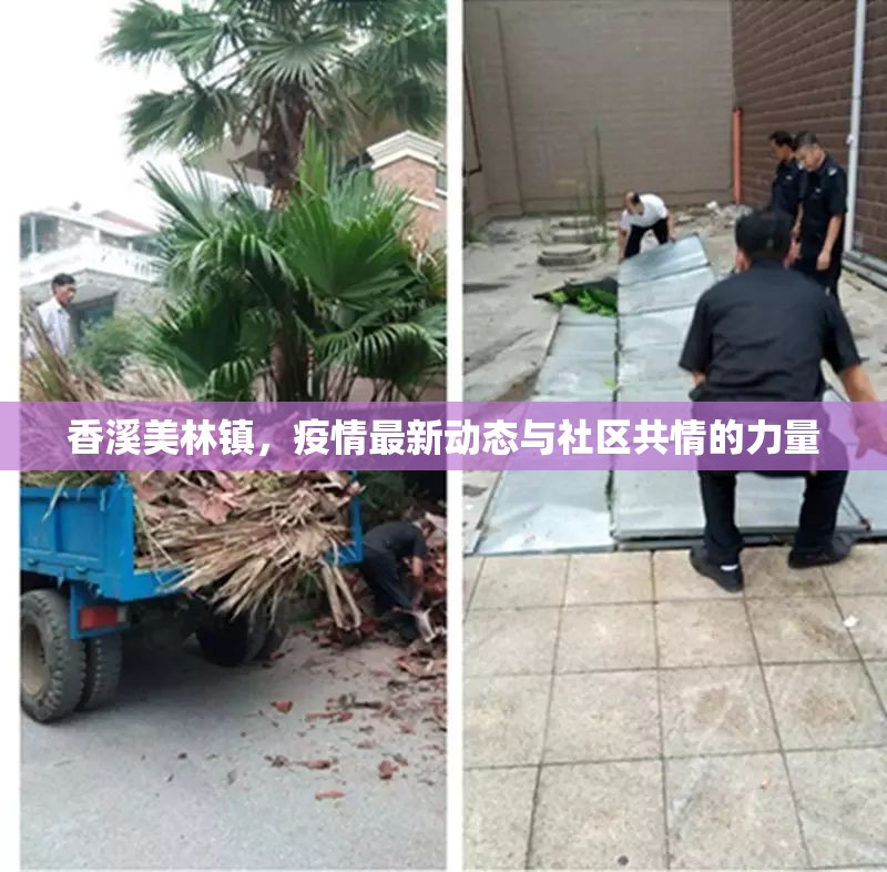 香溪美林鎮(zhèn)，疫情最新動(dòng)態(tài)與社區(qū)共情的力量