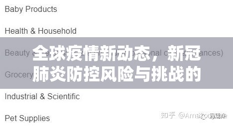 全球疫情新動態(tài)，新冠肺炎防控風(fēng)險與挑戰(zhàn)的最新應(yīng)對策略
