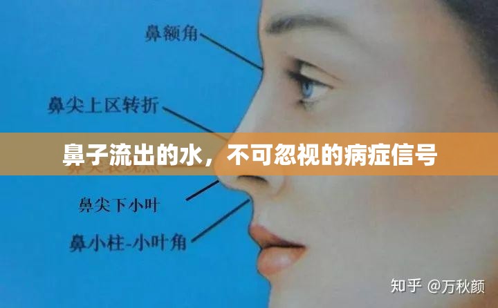 鼻子流出的水，不可忽視的病癥信號