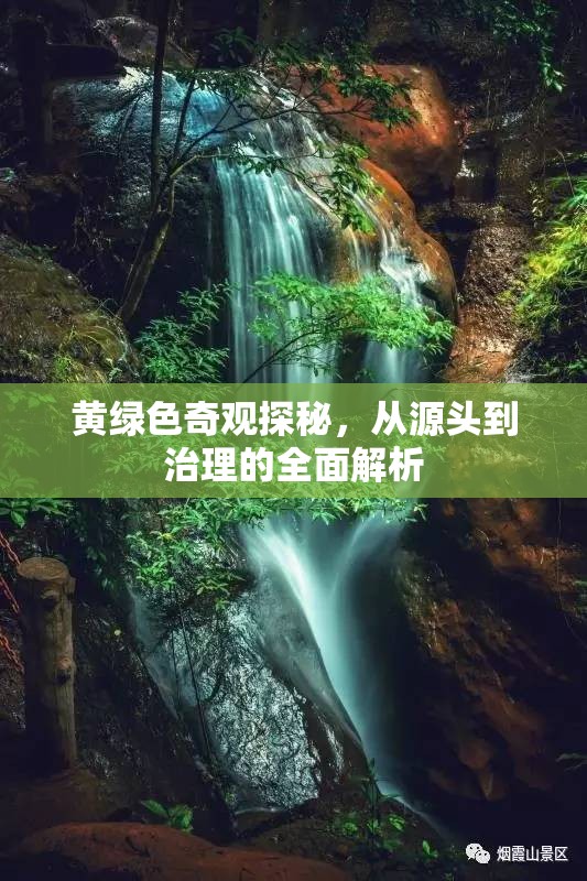 黃綠色奇觀探秘，從源頭到治理的全面解析
