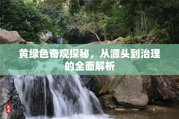 黃綠色奇觀探秘，從源頭到治理的全面解析