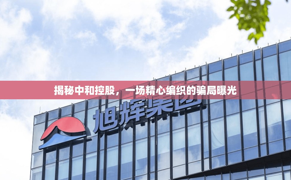 揭秘中和控股，一場精心編織的騙局曝光