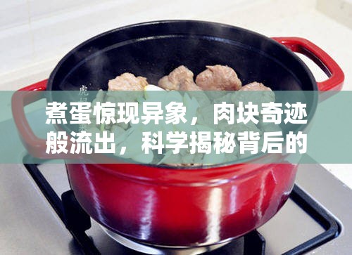 煮蛋驚現(xiàn)異象，肉塊奇跡般流出，科學揭秘背后的不可思議