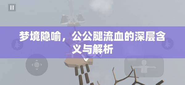 夢(mèng)境隱喻，公公腿流血的深層含義與解析