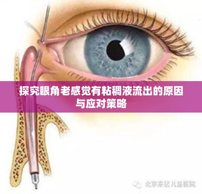 探究眼角老感覺有粘稠液流出的原因與應(yīng)對(duì)策略