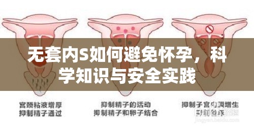 無套內(nèi)S如何避免懷孕，科學(xué)知識與安全實(shí)踐