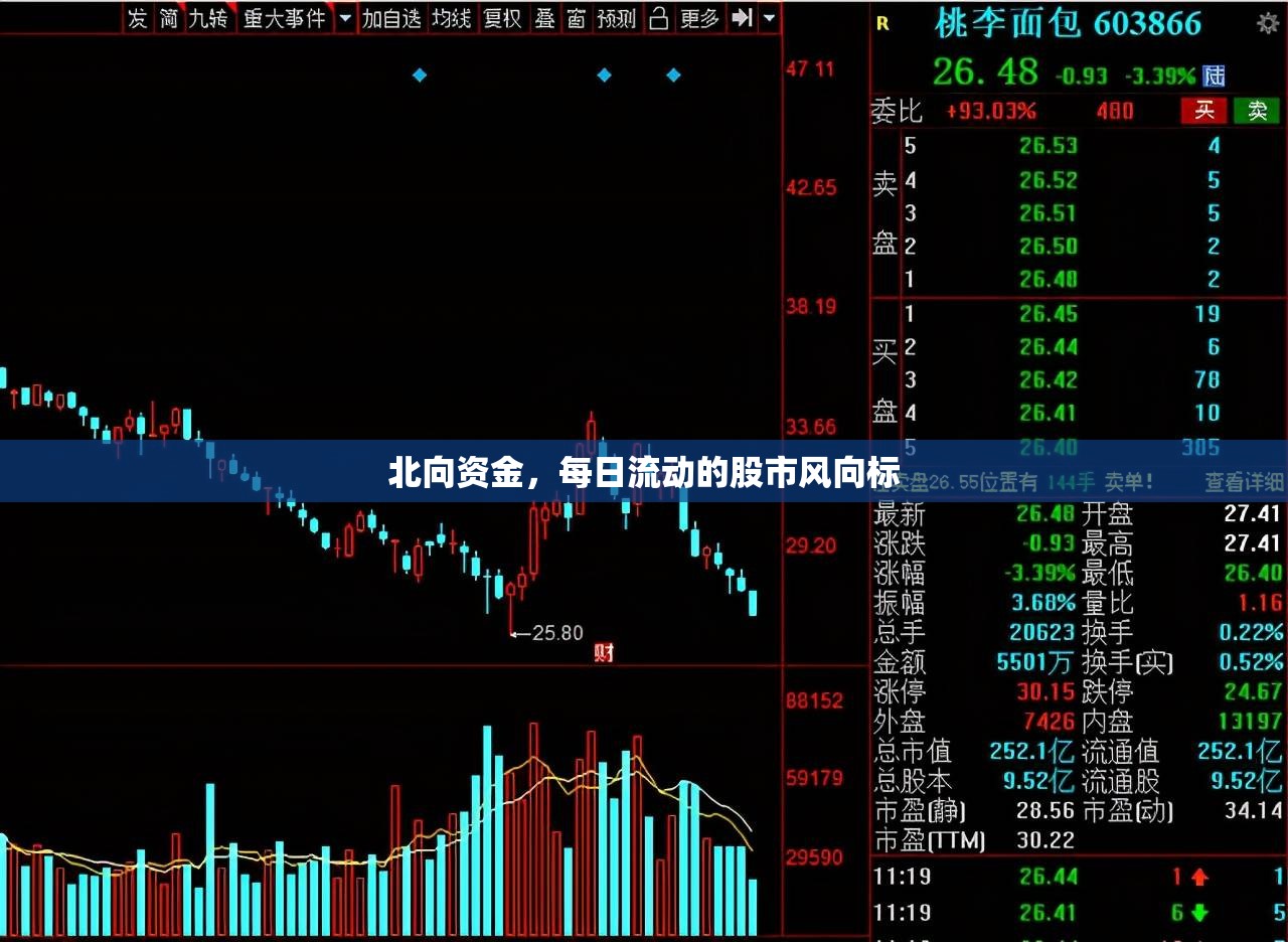 北向資金，每日流動(dòng)的股市風(fēng)向標(biāo)