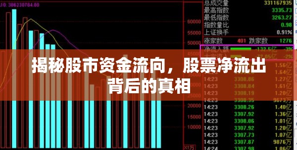 揭秘股市資金流向，股票凈流出背后的真相