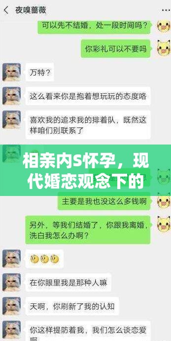 相親內(nèi)S懷孕，現(xiàn)代婚戀觀念下的意外與選擇