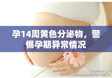孕14周黃色分泌物，警惕孕期異常情況