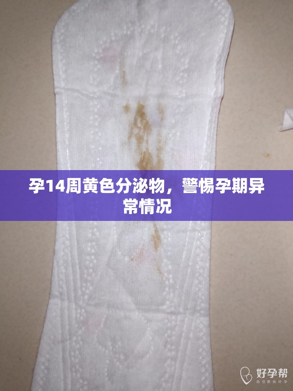 孕14周黃色分泌物，警惕孕期異常情況