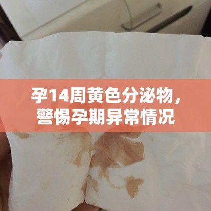 孕14周黃色分泌物，警惕孕期異常情況