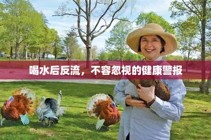 喝水后反流，不容忽視的健康警報