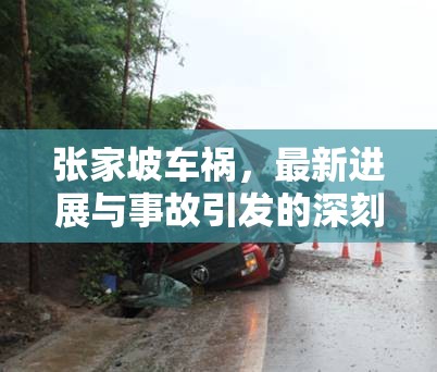 張家坡車禍，最新進展與事故引發(fā)的深刻反思