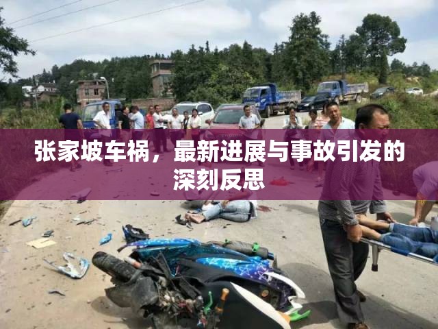 張家坡車禍，最新進展與事故引發(fā)的深刻反思