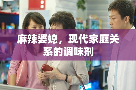 麻辣婆媳，現(xiàn)代家庭關(guān)系的調(diào)味劑