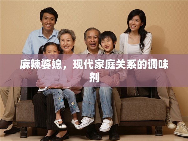 麻辣婆媳，現(xiàn)代家庭關(guān)系的調(diào)味劑