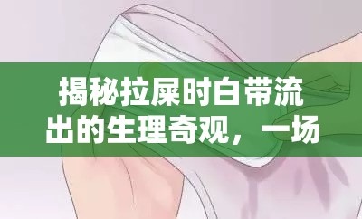 揭秘拉屎時(shí)白帶流出的生理奇觀，一場(chǎng)私密而微妙的身體對(duì)話