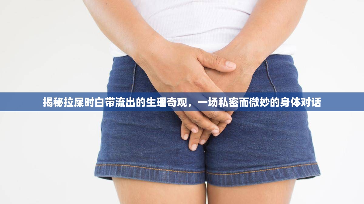 揭秘拉屎時(shí)白帶流出的生理奇觀，一場(chǎng)私密而微妙的身體對(duì)話