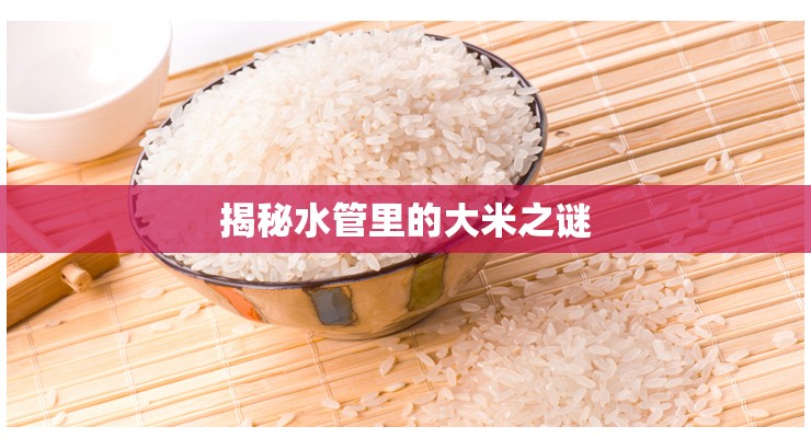 揭秘水管里的大米之謎