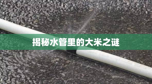 揭秘水管里的大米之謎