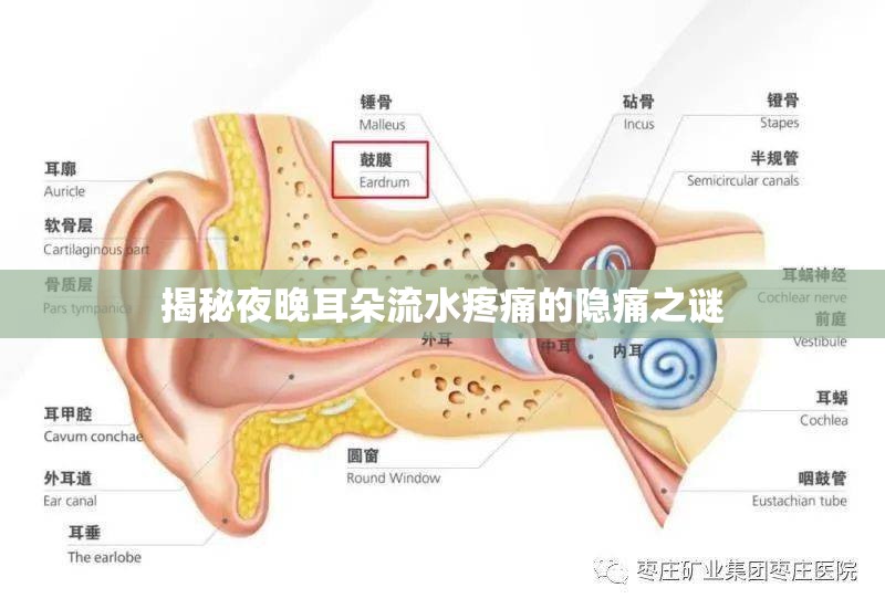 揭秘夜晚耳朵流水疼痛的隱痛之謎