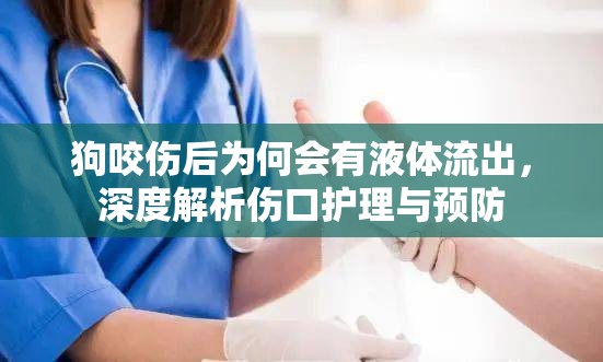 狗咬傷后為何會(huì)有液體流出，深度解析傷口護(hù)理與預(yù)防