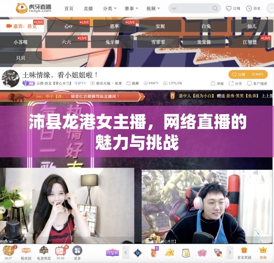 沛縣龍港女主播，網(wǎng)絡(luò)直播的魅力與挑戰(zhàn)