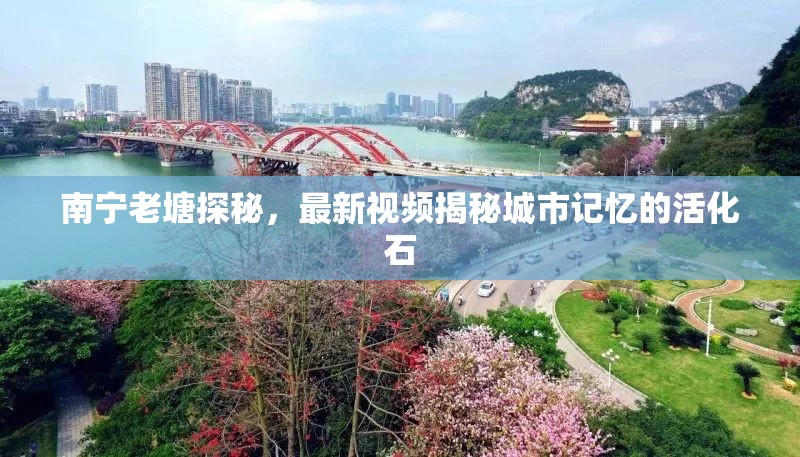 南寧老塘探秘，最新視頻揭秘城市記憶的活化石
