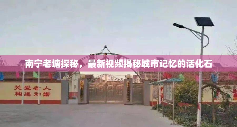 南寧老塘探秘，最新視頻揭秘城市記憶的活化石