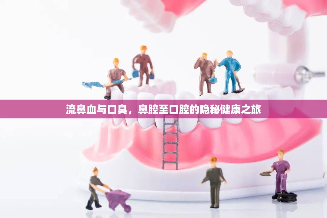 流鼻血與口臭，鼻腔至口腔的隱秘健康之旅