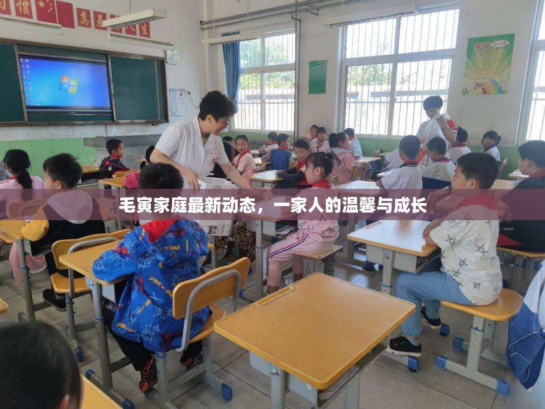 毛寅家庭最新動態(tài)，一家人的溫馨與成長
