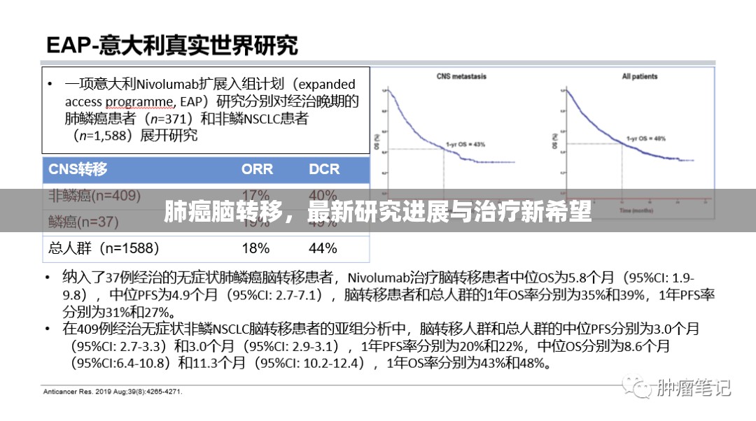 肺癌腦轉(zhuǎn)移，最新研究進展與治療新希望