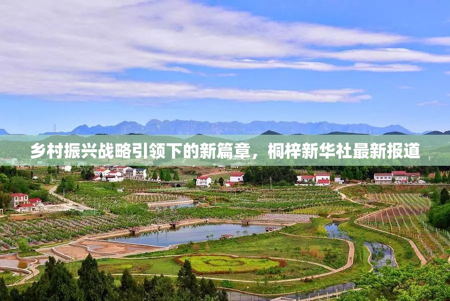 鄉(xiāng)村振興戰(zhàn)略引領(lǐng)下的新篇章，桐梓新華社最新報(bào)道