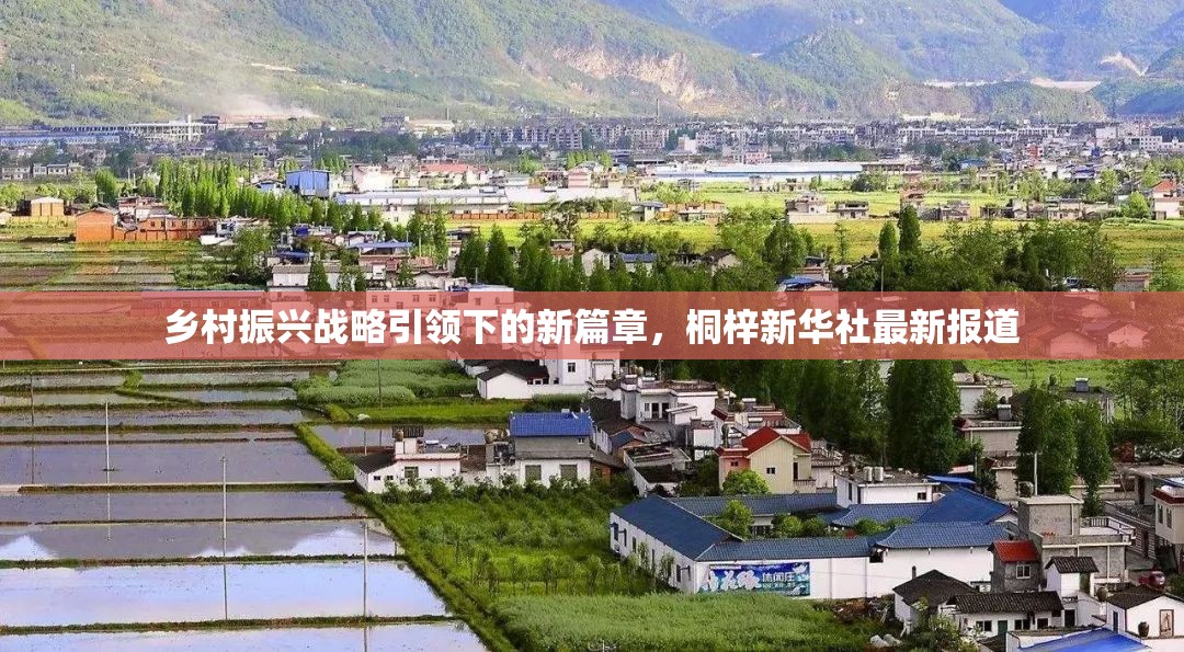 鄉(xiāng)村振興戰(zhàn)略引領(lǐng)下的新篇章，桐梓新華社最新報(bào)道