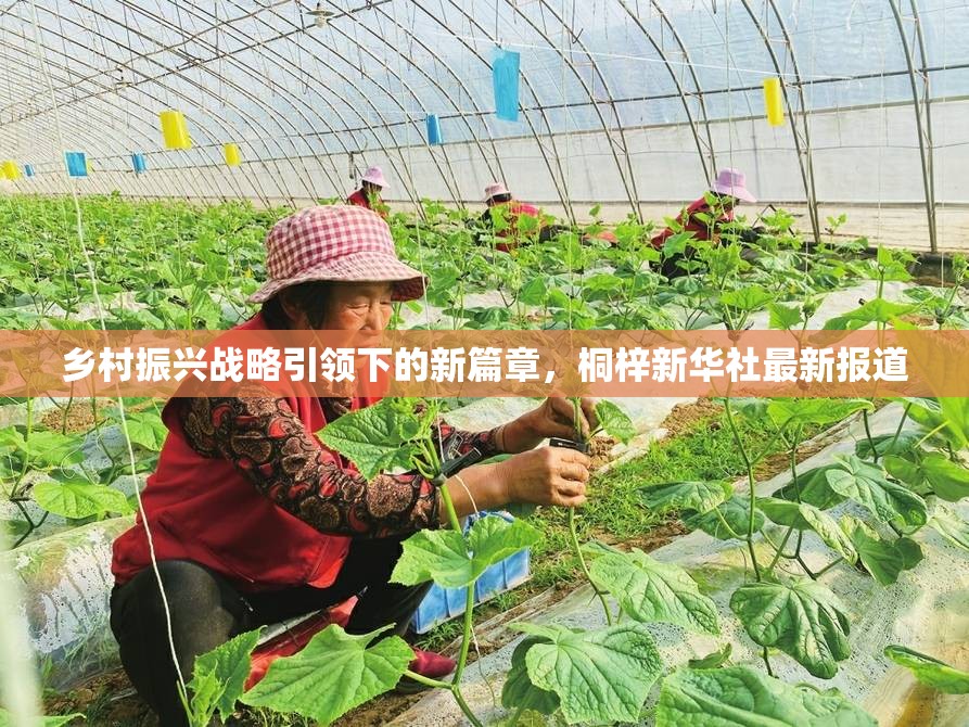 鄉(xiāng)村振興戰(zhàn)略引領(lǐng)下的新篇章，桐梓新華社最新報(bào)道