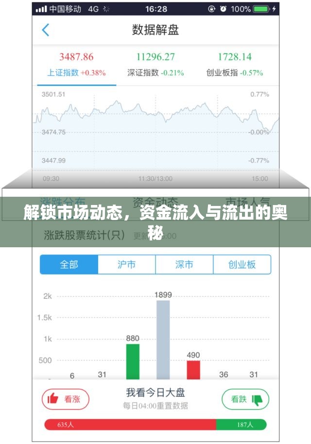 解鎖市場(chǎng)動(dòng)態(tài)，資金流入與流出的奧秘