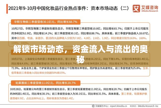 解鎖市場(chǎng)動(dòng)態(tài)，資金流入與流出的奧秘
