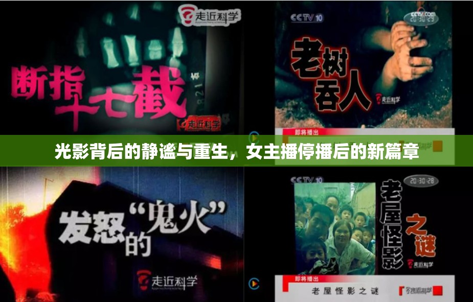 光影背后的靜謐與重生，女主播停播后的新篇章
