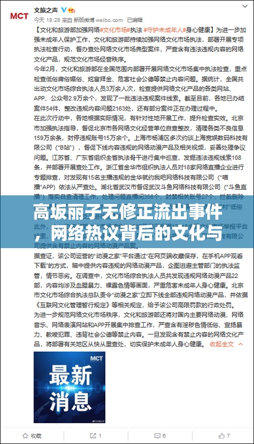 高坂麗子無修正流出事件，網(wǎng)絡(luò)熱議背后的文化與道德反思