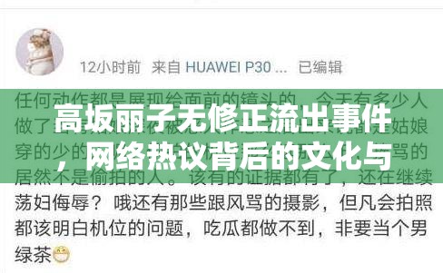 高坂麗子無修正流出事件，網(wǎng)絡(luò)熱議背后的文化與道德反思