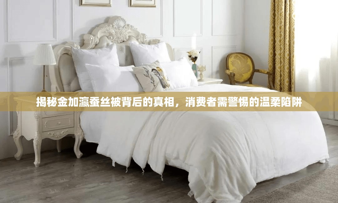 揭秘金加瀛蠶絲被背后的真相，消費(fèi)者需警惕的溫柔陷阱