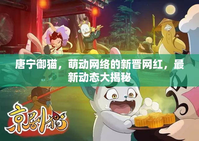 唐寧御貓，萌動(dòng)網(wǎng)絡(luò)的新晉網(wǎng)紅，最新動(dòng)態(tài)大揭秘
