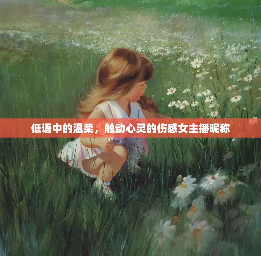 低語中的溫柔，觸動(dòng)心靈的傷感女主播昵稱
