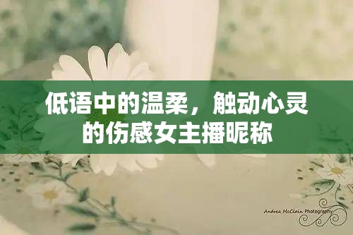 低語中的溫柔，觸動(dòng)心靈的傷感女主播昵稱