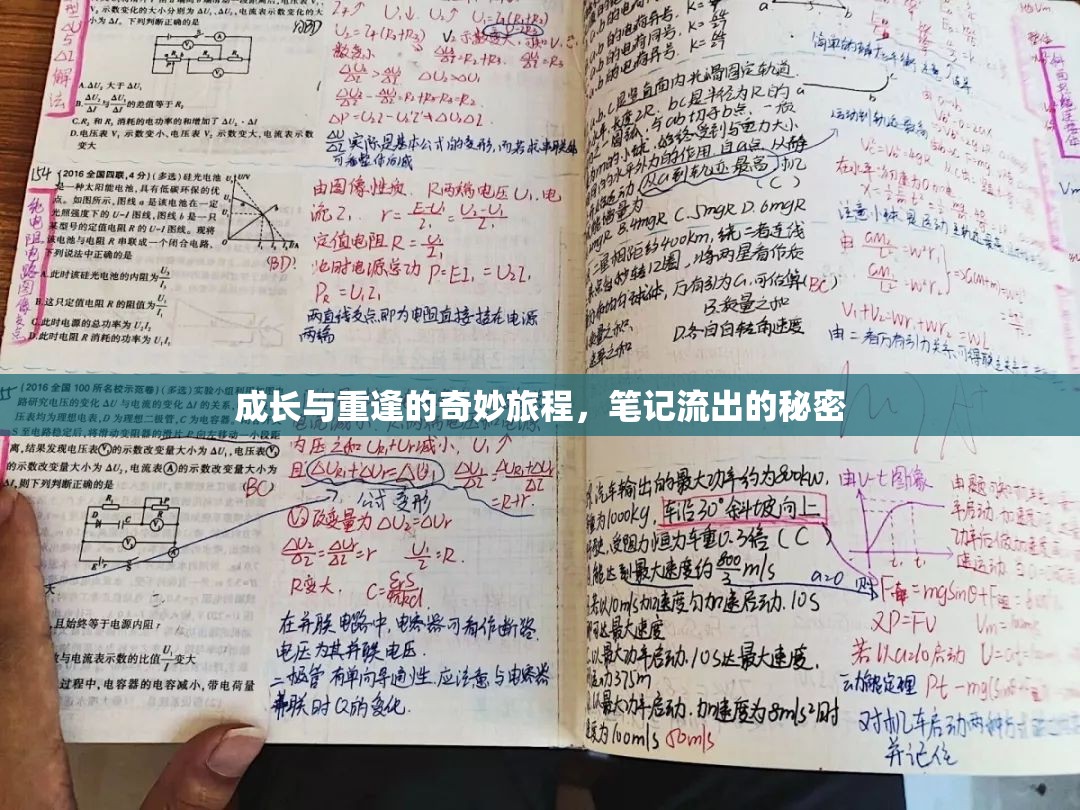 成長(zhǎng)與重逢的奇妙旅程，筆記流出的秘密